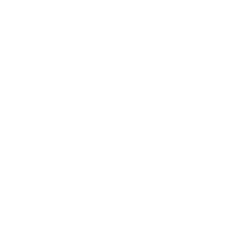 Datacenter: for maximum security of your data